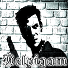 Nelpigam